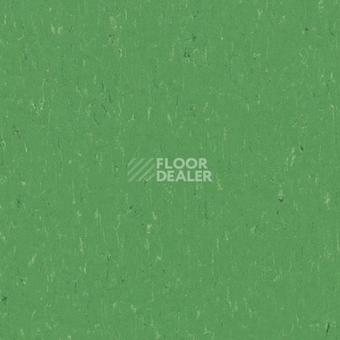 Линолеум Forbo Marmoleum Solid Piano 3647-364735 nettle green фото 1 | FLOORDEALER